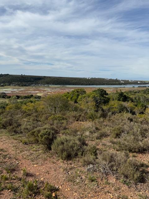 0 Bedroom Property for Sale in Kromme River Estate Eastern Cape